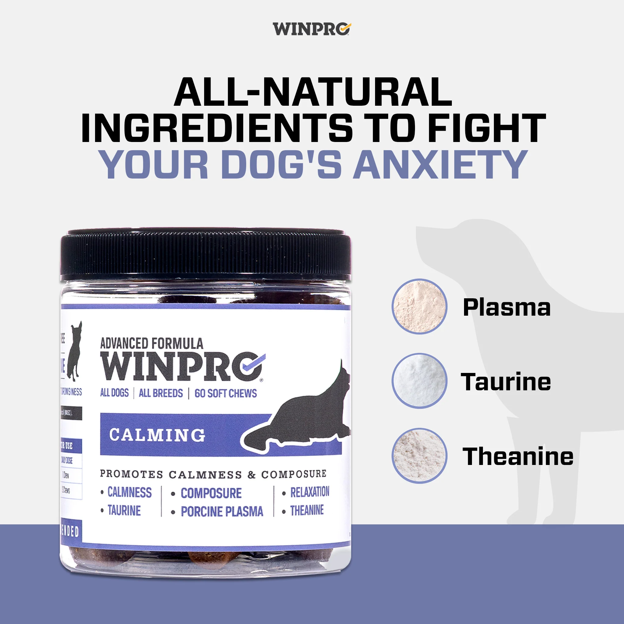 Calming 6-Pack - Image 4