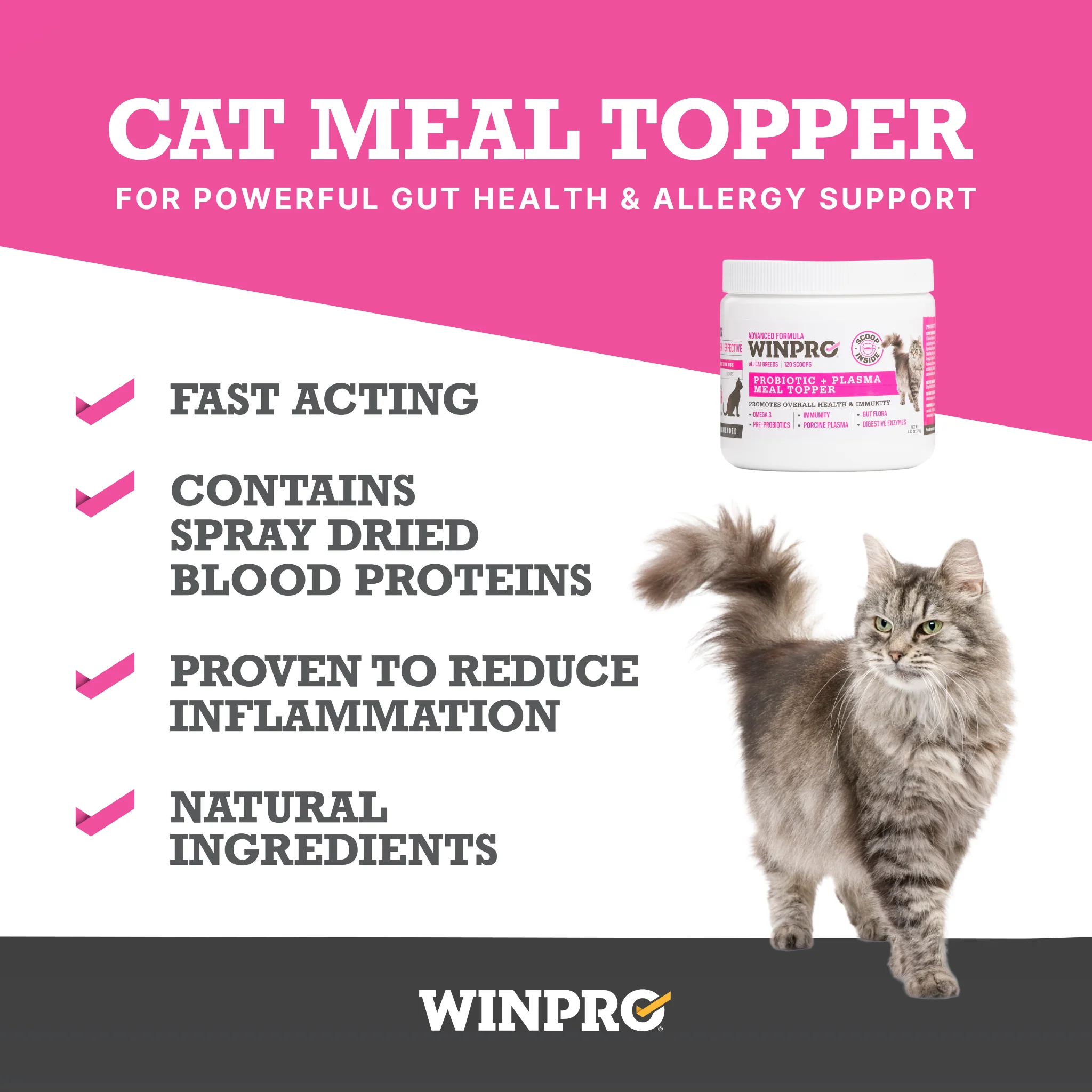 Cat Probiotic + Plasma Meal Topper - Image 4