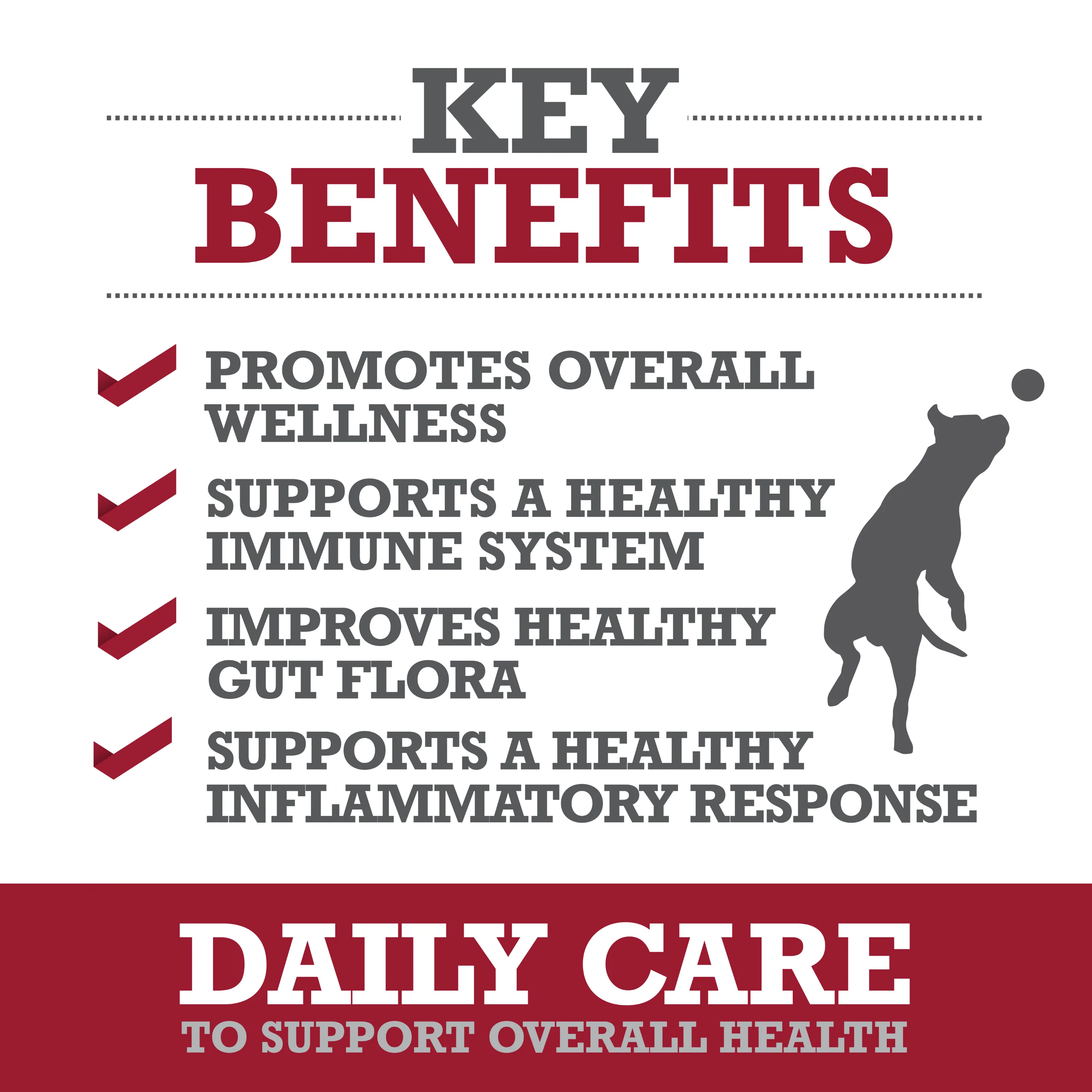 Daily Care - Image 4