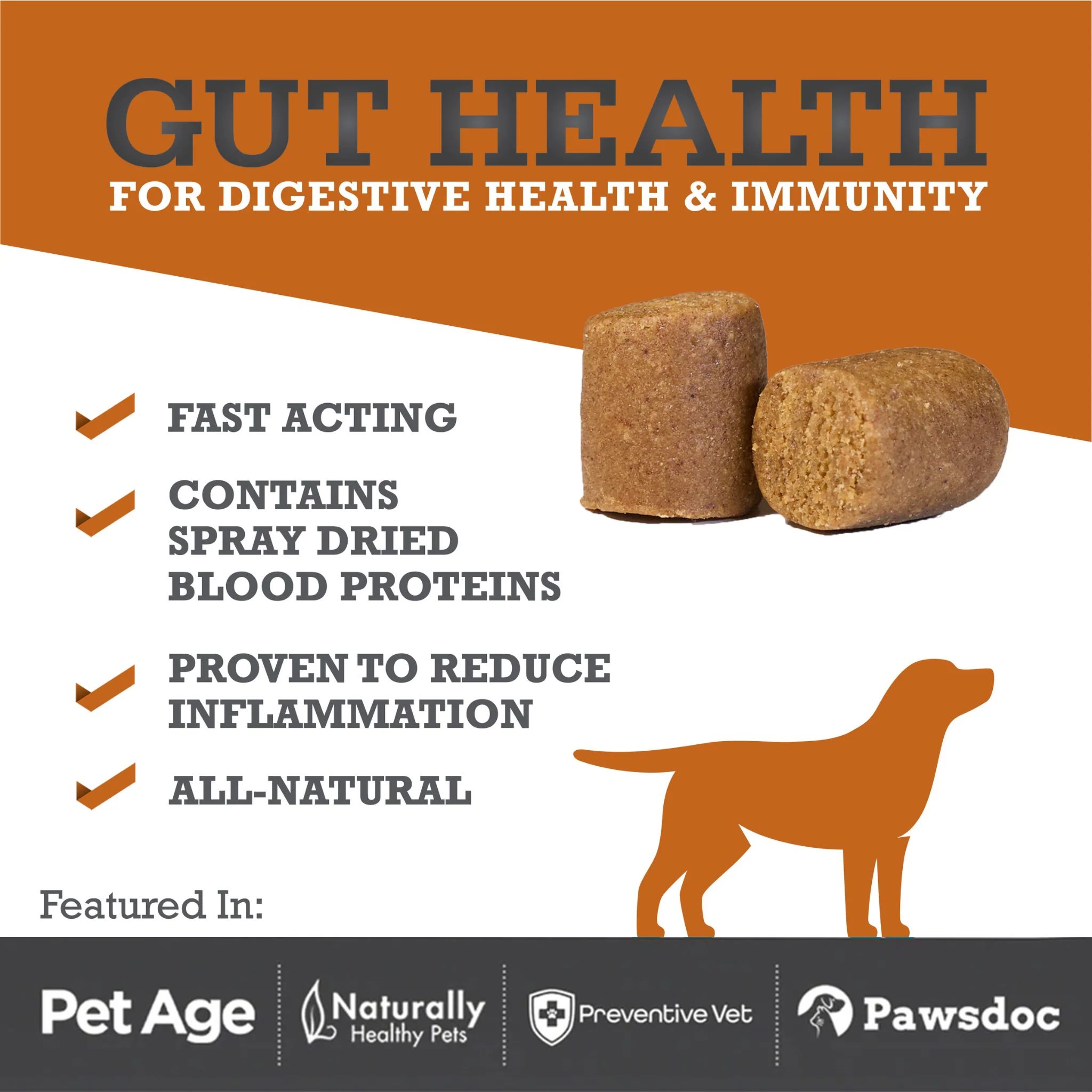 Gut Health 6-Pack - Image 3