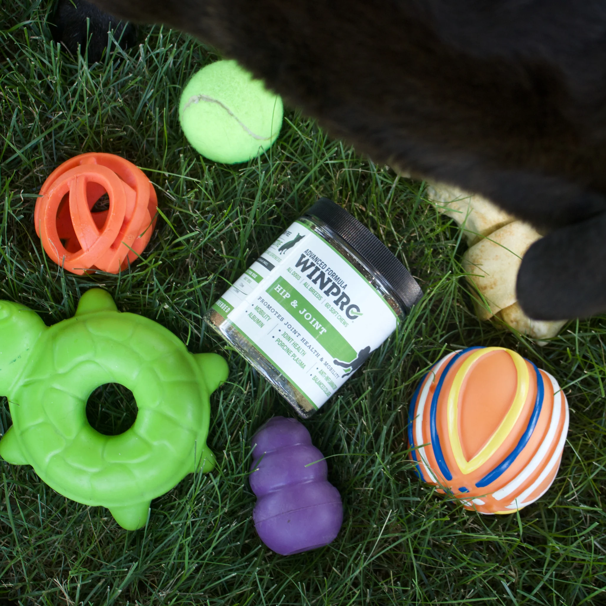 Hip & Joint 6-Pack - Image 12