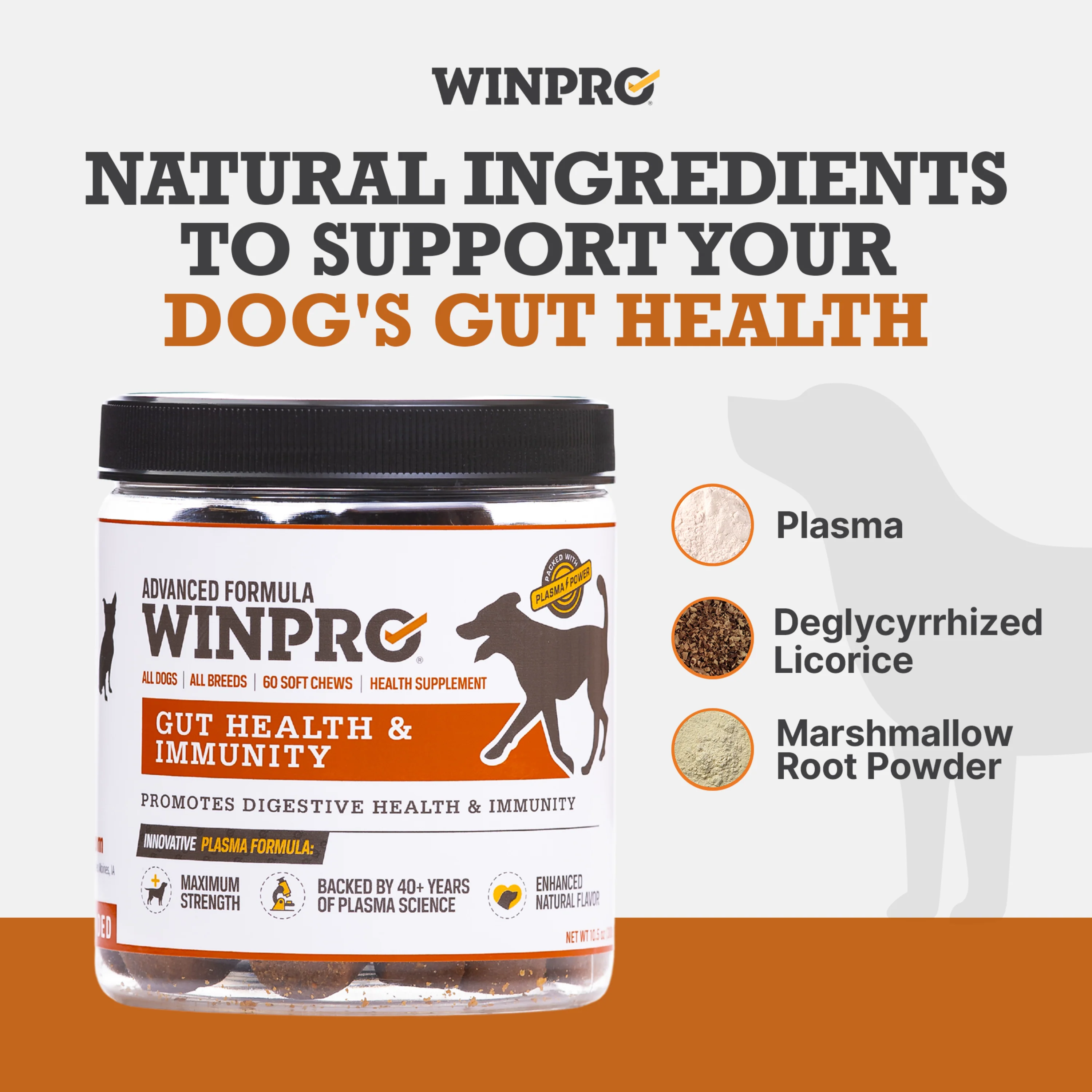 Gut Health - Image 3