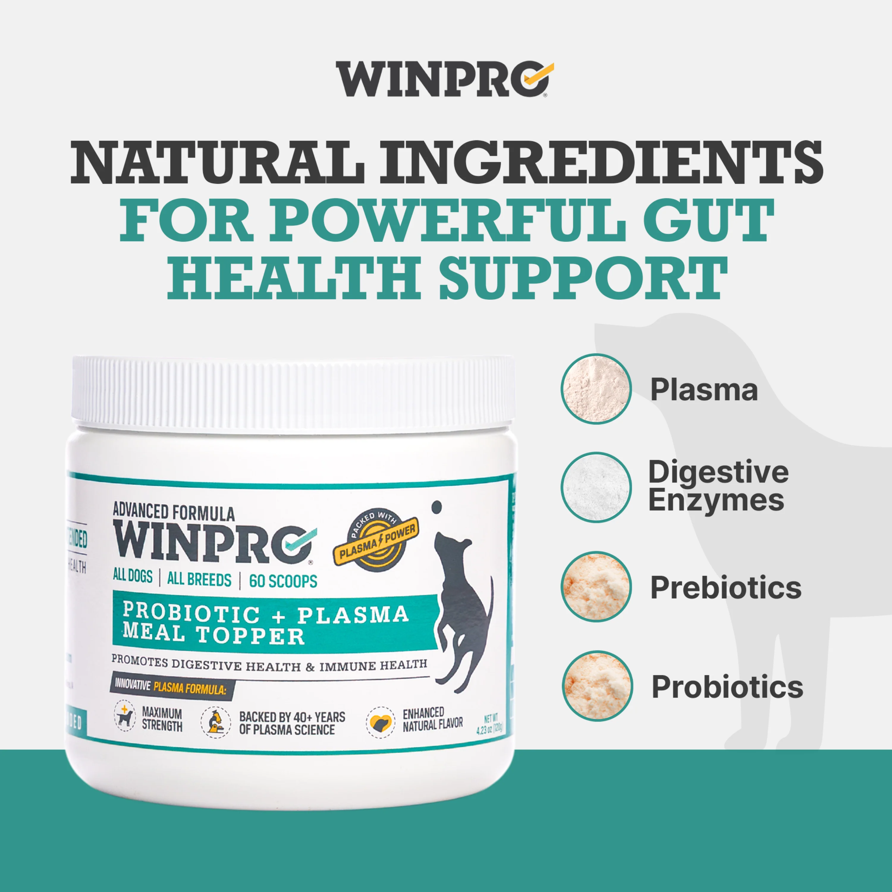 Perfect Gut Bundle - Image 5