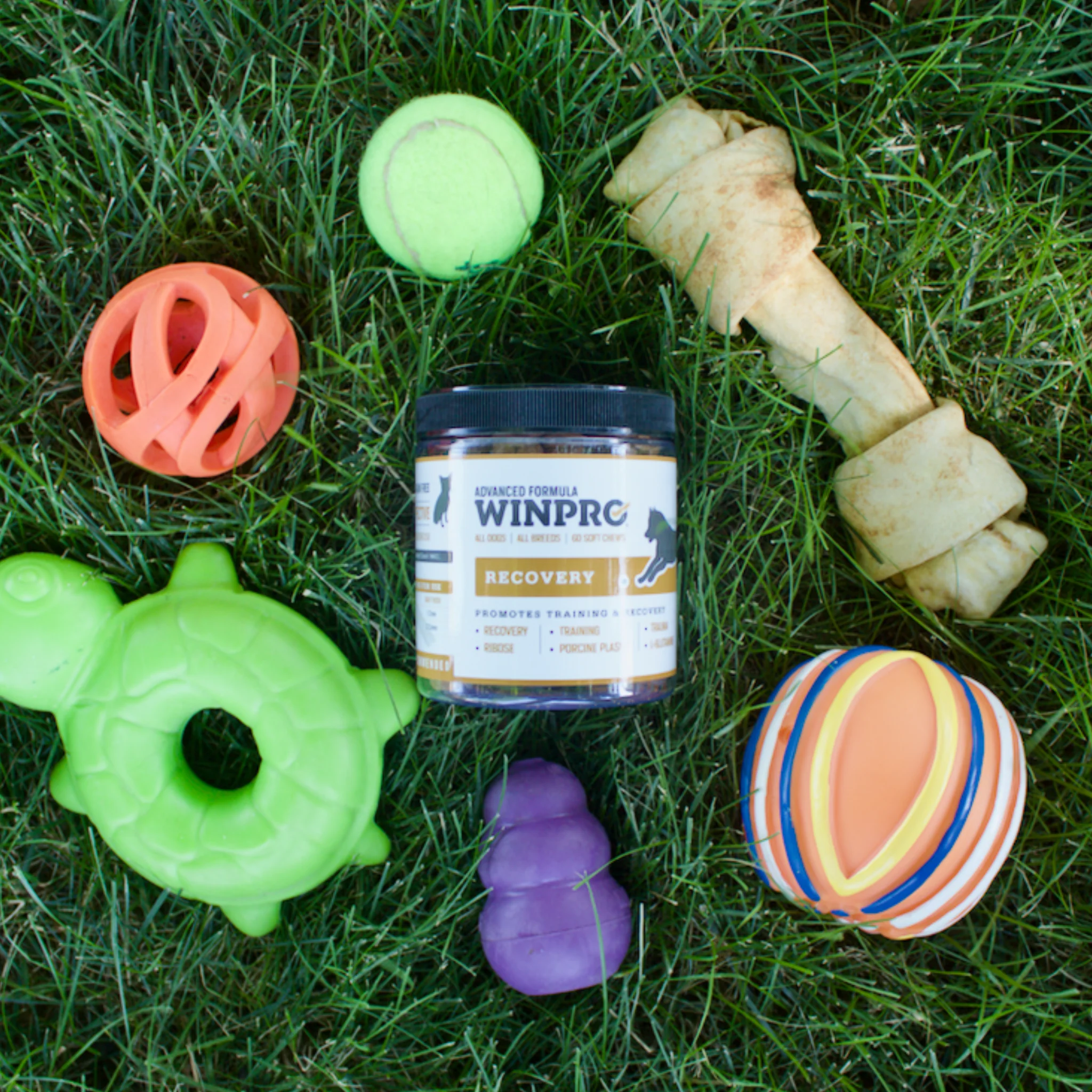 Recovery 6-Pack - Image 11