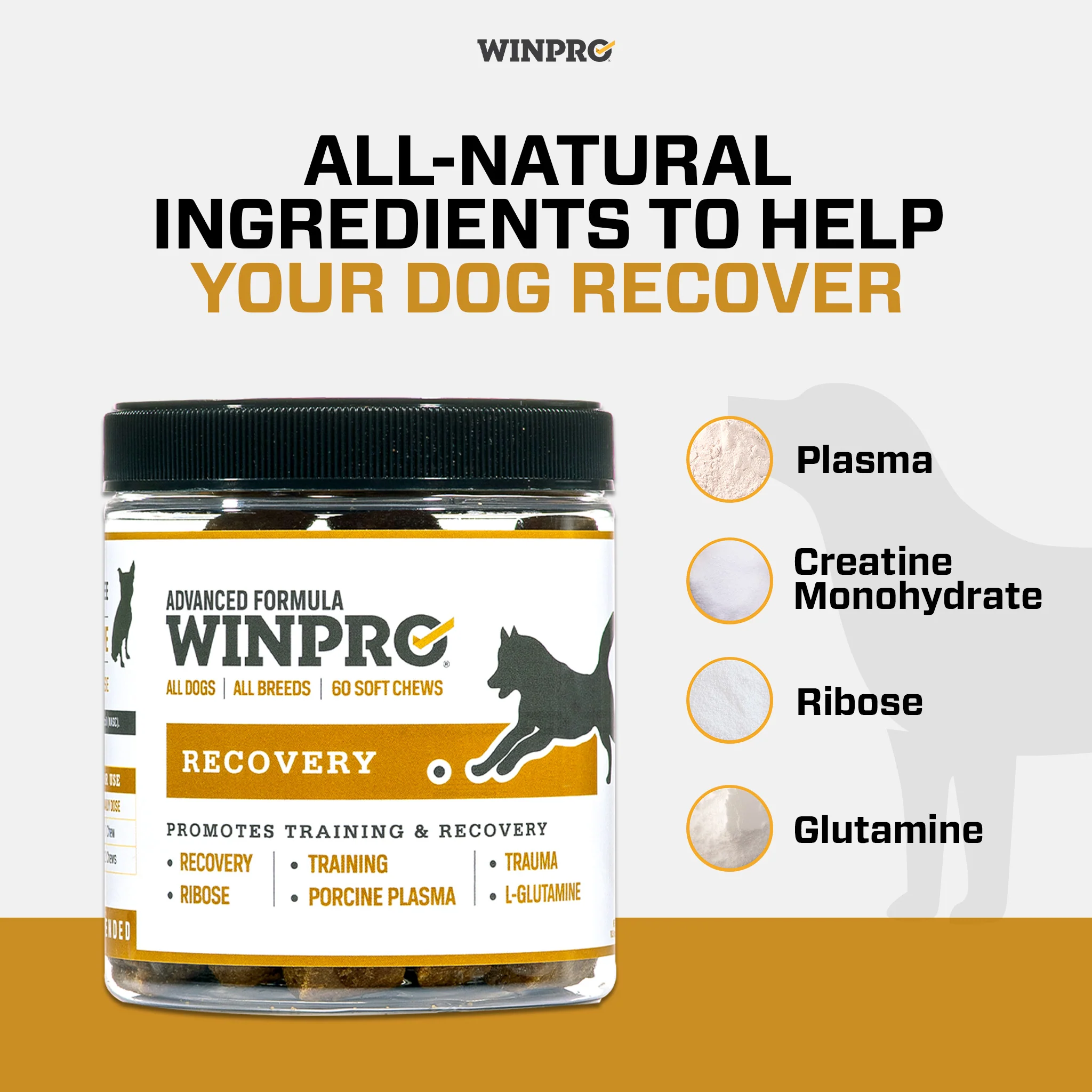 Recovery 6-Pack - Image 4