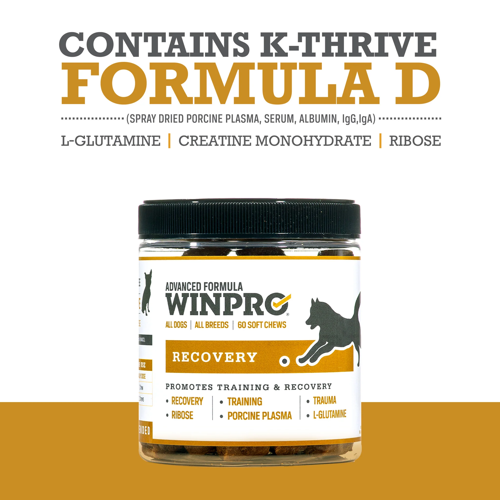 Recovery 6-Pack - Image 7