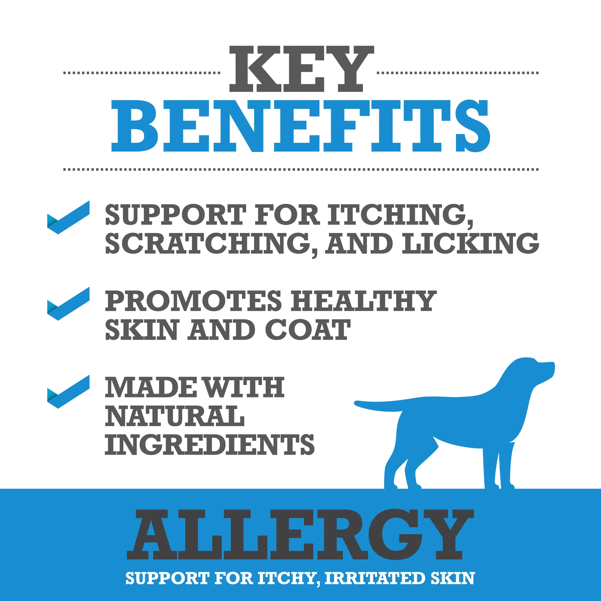 Allergy - Image 3
