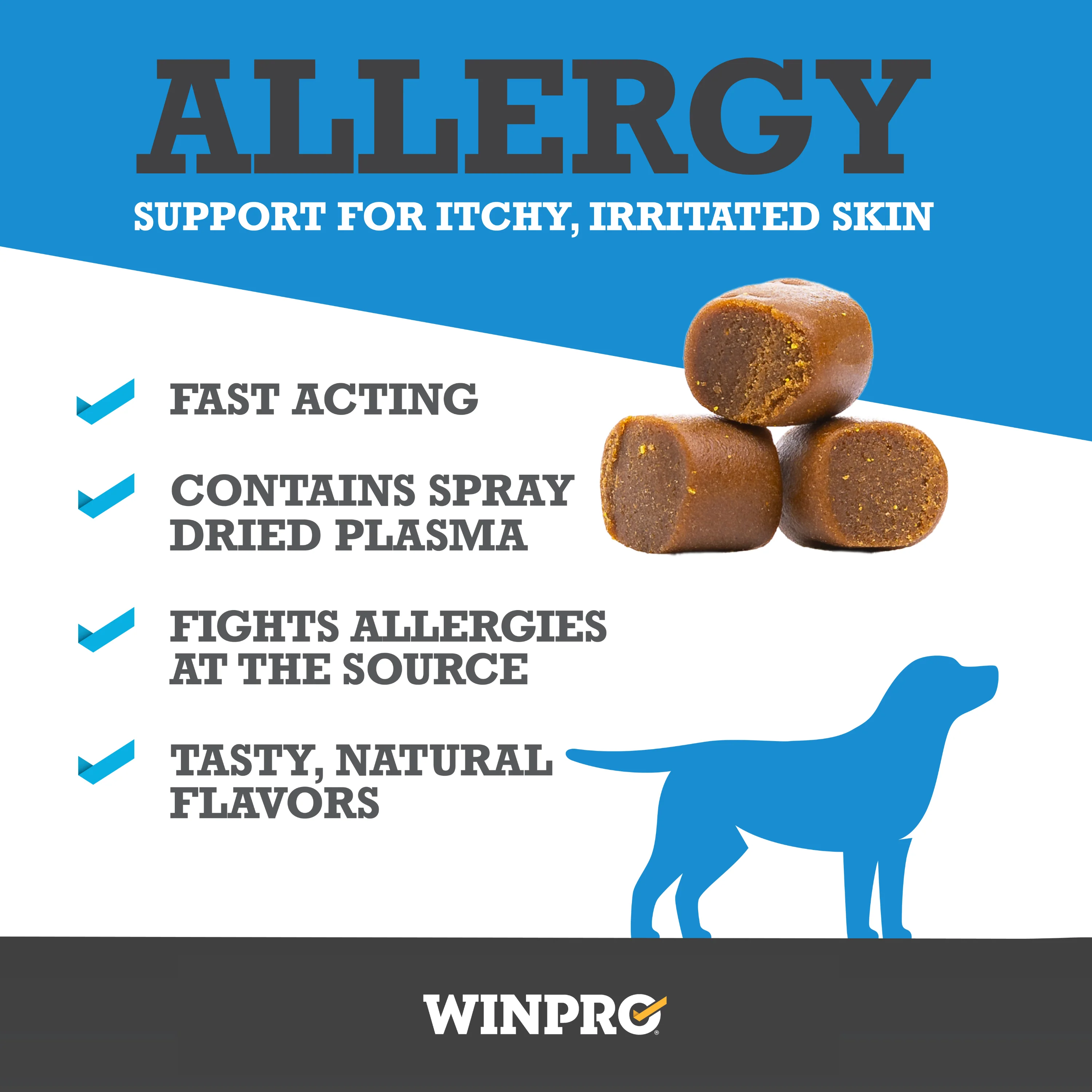 Allergy - Image 4